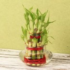 send Double Layer Bamboo delivery